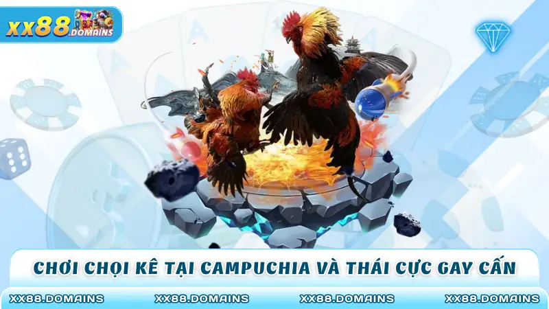Chơi chọi kê tại Campuchia và Thái cực gay cấn